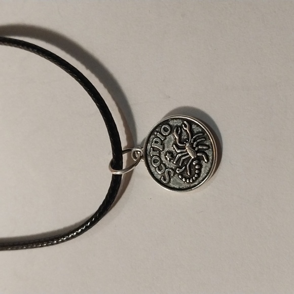 Scorpio Sign Scorpion Passionate Astrology  charm necklace - Picture 1 of 2
